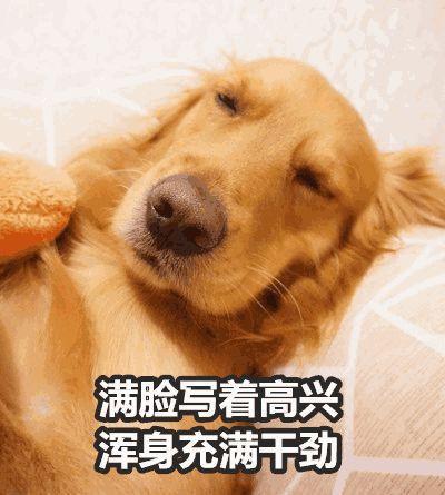 我很好我没事玩你的游戏去吧口是心非表情包