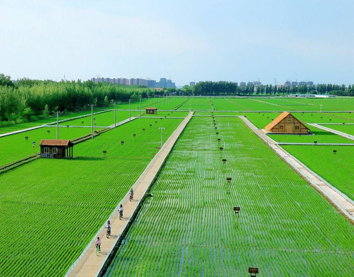 半两钱什么是生态农业模式?