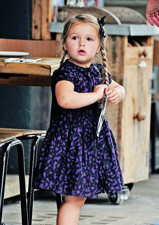 小七简直翻版的贝爷才几天小七又胖回来了露着小肚腩很可爱