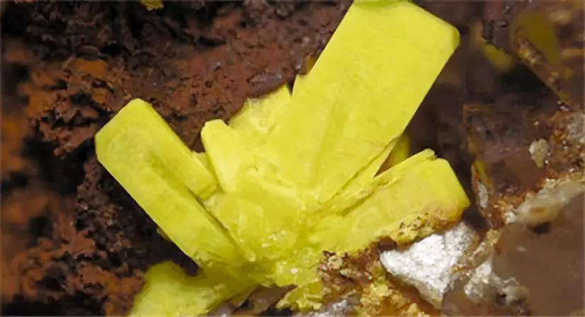 让英人恐慌的"黄饼"有多可怕