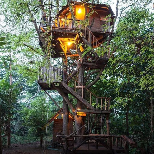 8国8间最美树屋,中国的颜值爆表!