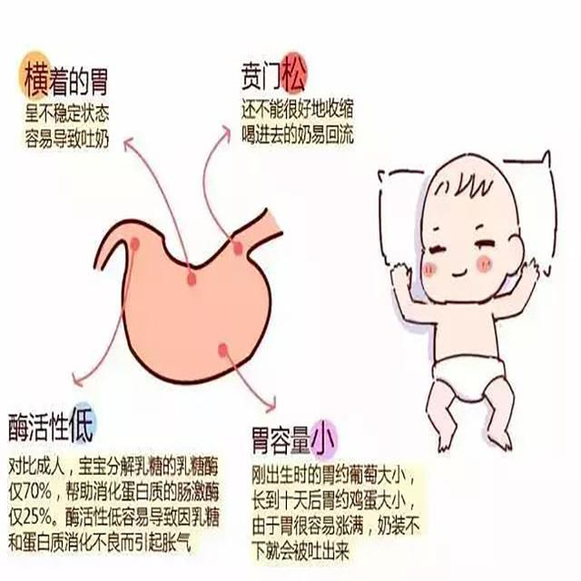 侧身喂母乳过多,宝宝容易反食流吐奶,建议宝妈涨奶侧身喂母乳时,让