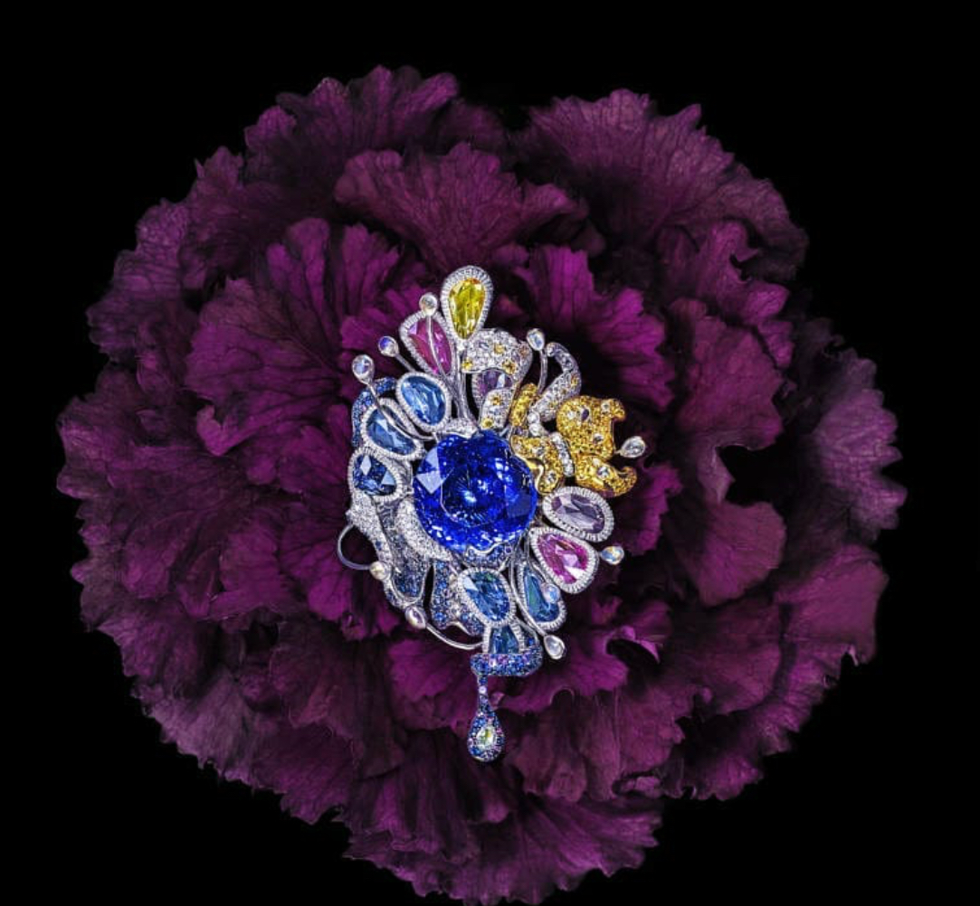 奢华与权利顶级珠宝欣赏