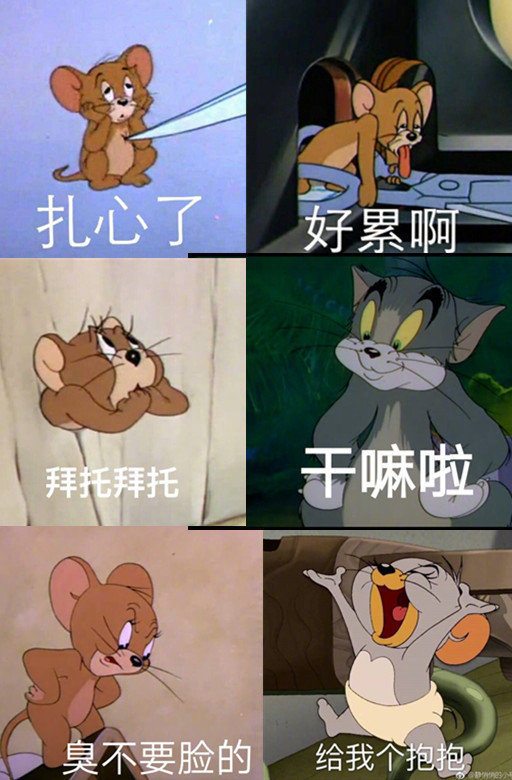 分享一组好玩的猫和老鼠表情包点赞好运满满喜欢 戳 坪 论~
