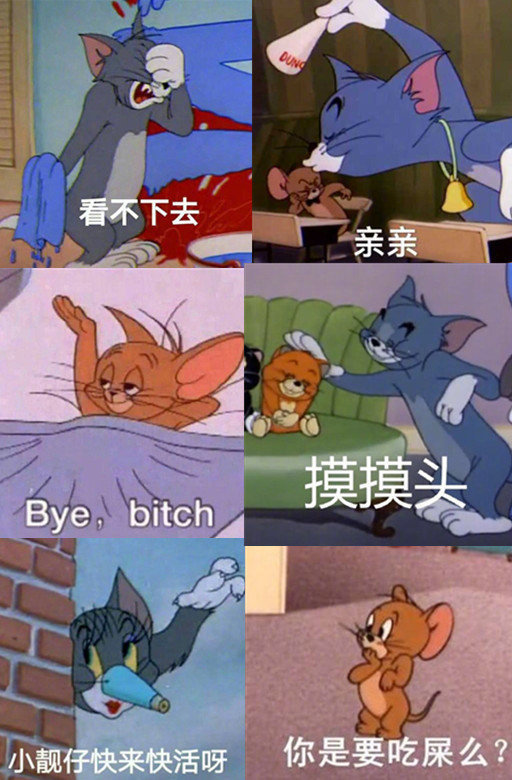 分享一组好玩的猫和老鼠表情包点赞好运满满喜欢 戳坪论