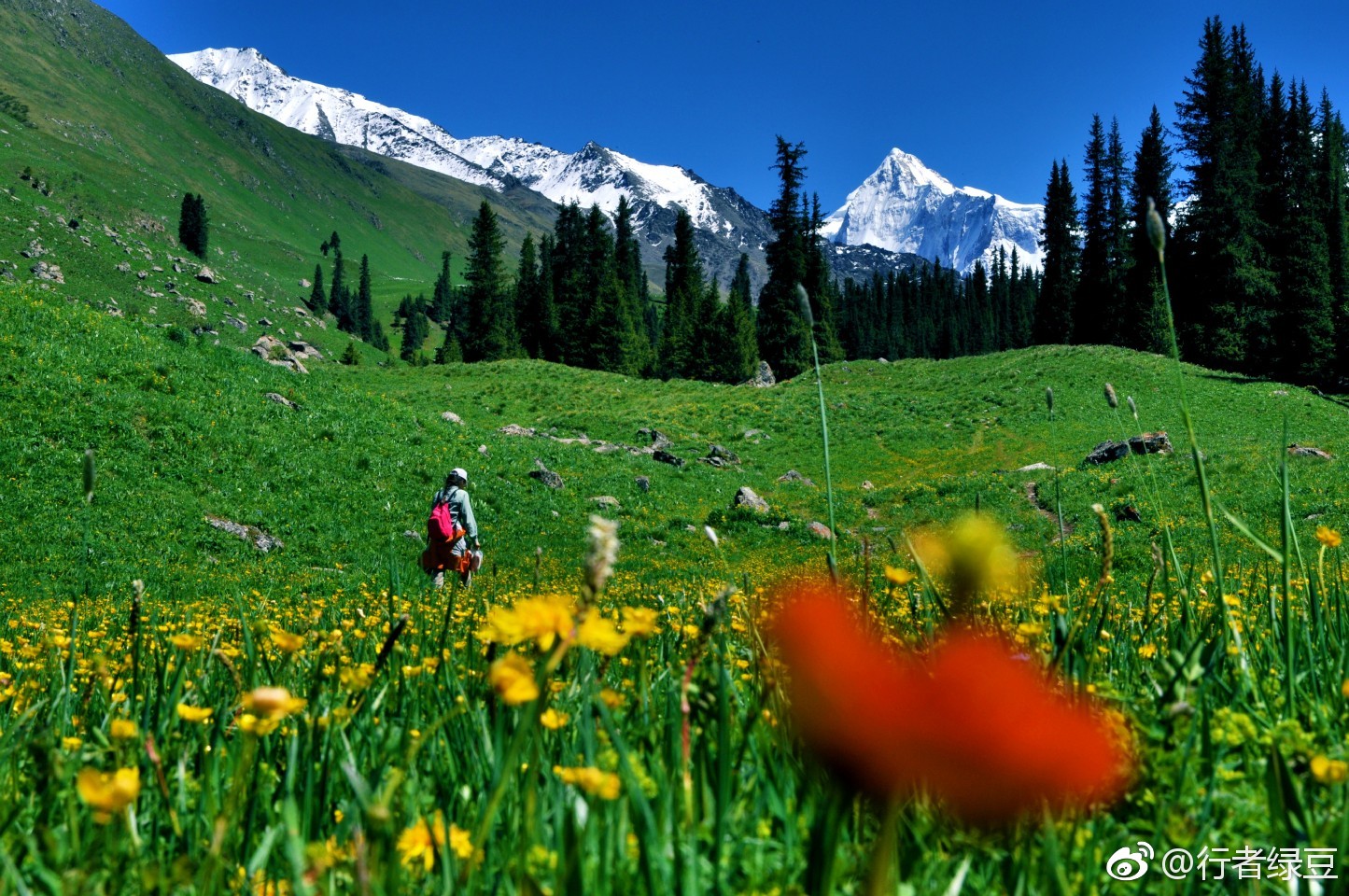 新疆夏特古道,翻越天山的冰梯,直达南疆的捷径
