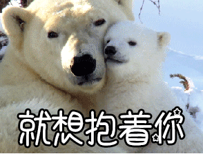 表情包:趁青春未老,趁阳光正好快去给你爱的人表白吧!