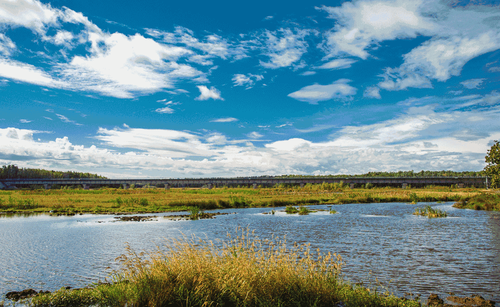 7亿湿润着全市的气候