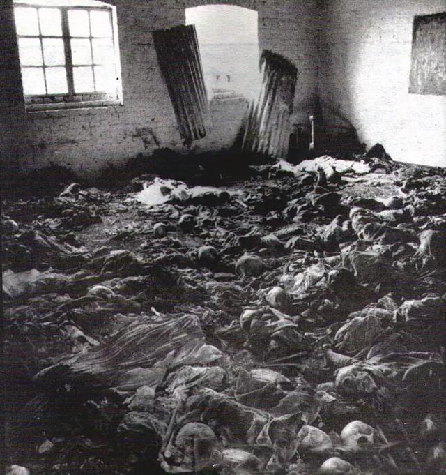 1994年,他们用了100天,整整屠杀了100多万人