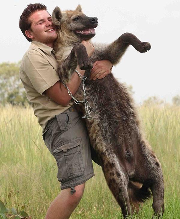 少年救了鬣狗, 从此他们成了好朋友