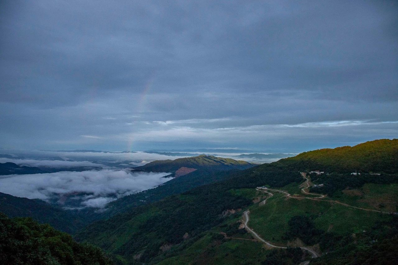 百马攻略 | 上云端,尝百果,听"巨龙"咆哮,感受自然魅力|哀牢山|南恩