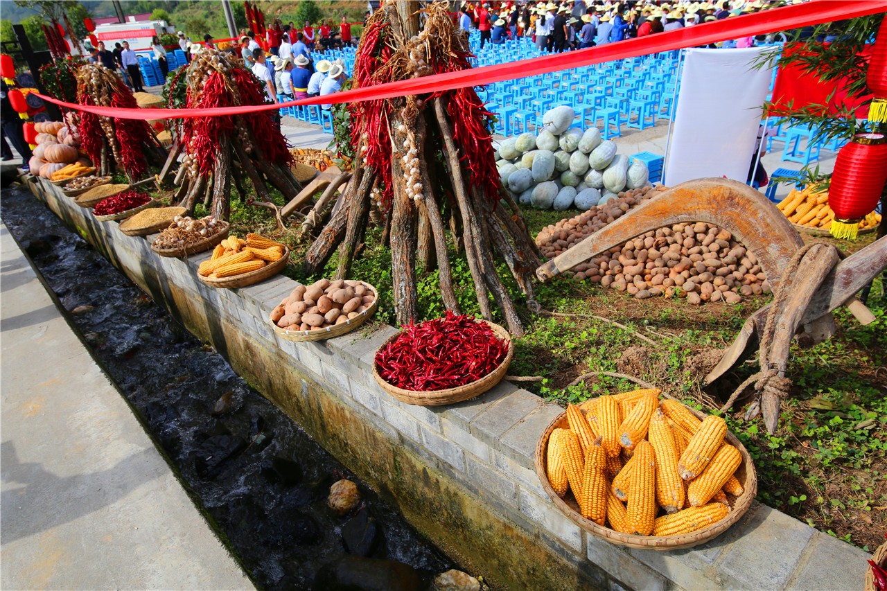 丰收节"掠影插秧比赛云锁凤堰稻田摸鱼比赛稻田摸鱼比赛稻田摸鱼比赛