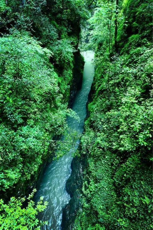 但非常值得一去再去