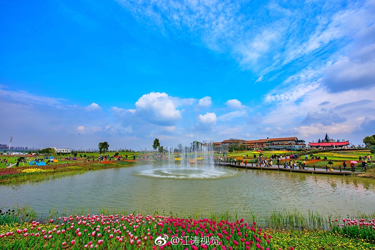 武汉花博汇除了26万平的四季花海和浪漫的樱花村供赏花拍照外