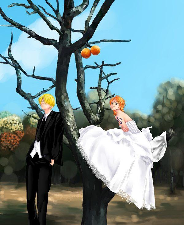 路飞和女帝的婚纱照,一个帅气十足,一个美丽迷人,简直是羡煞旁人.