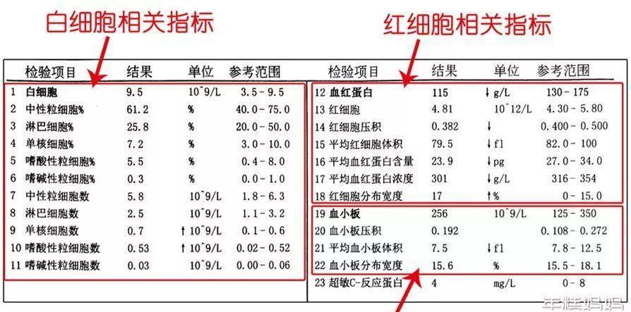 今天糕妈就来手把手实例分析,教大家初步读懂宝宝的血常规,心里先有个