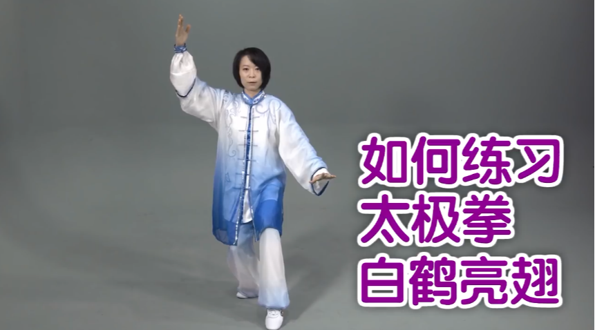 太极大师何溪宁教学太极拳白鹤亮翅,全方位解刨动作要领你会了吗