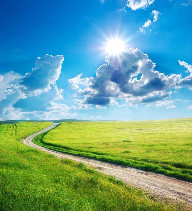 各种奇奇怪怪的回答,真相原来是这个