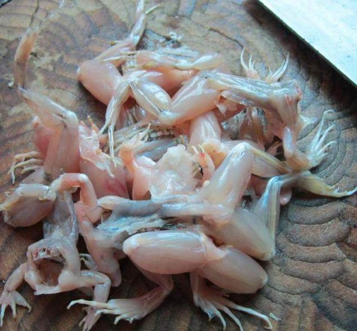 有几种美味再好吃也要少吃,常吃体内会长寄生虫!你又经常在吃吗