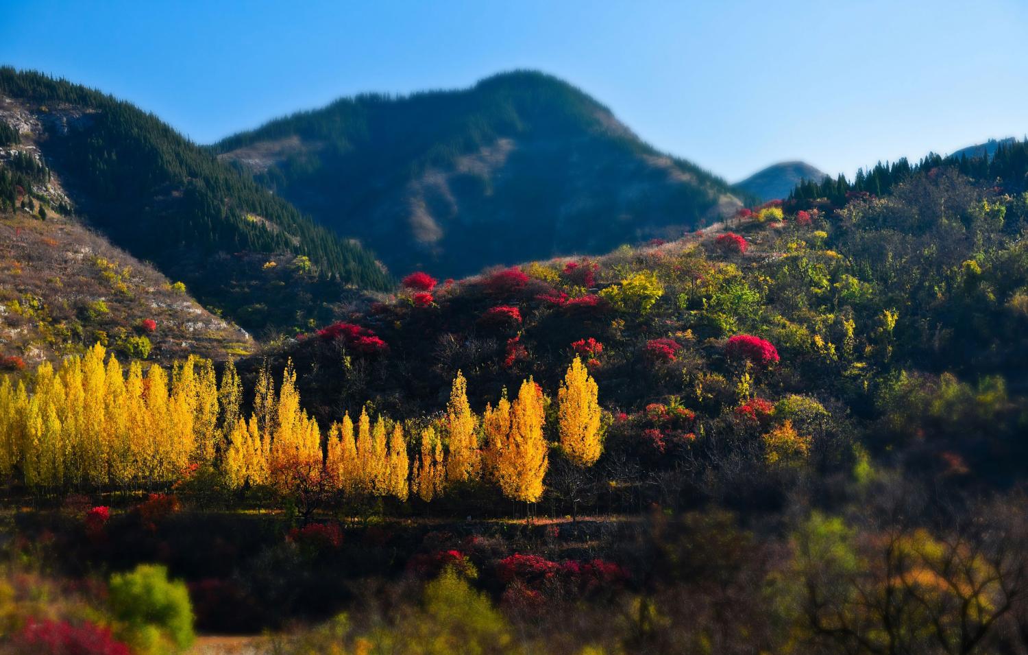 山东淄博市的人民注意了! 从这个角度看博山县这么美丽!