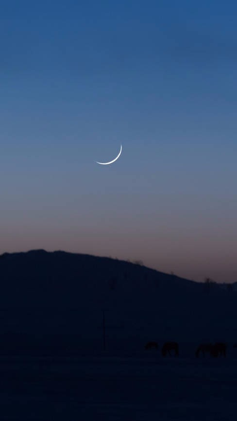 两情相悦兮,甘之若饴兮|月牙|繁星|月亮_新浪新闻