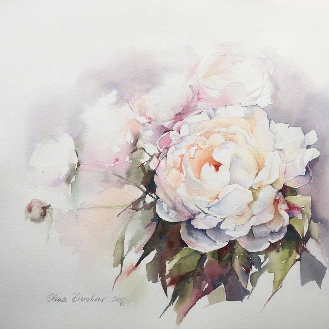 水彩绘画作品 | 插画师 olena duchene