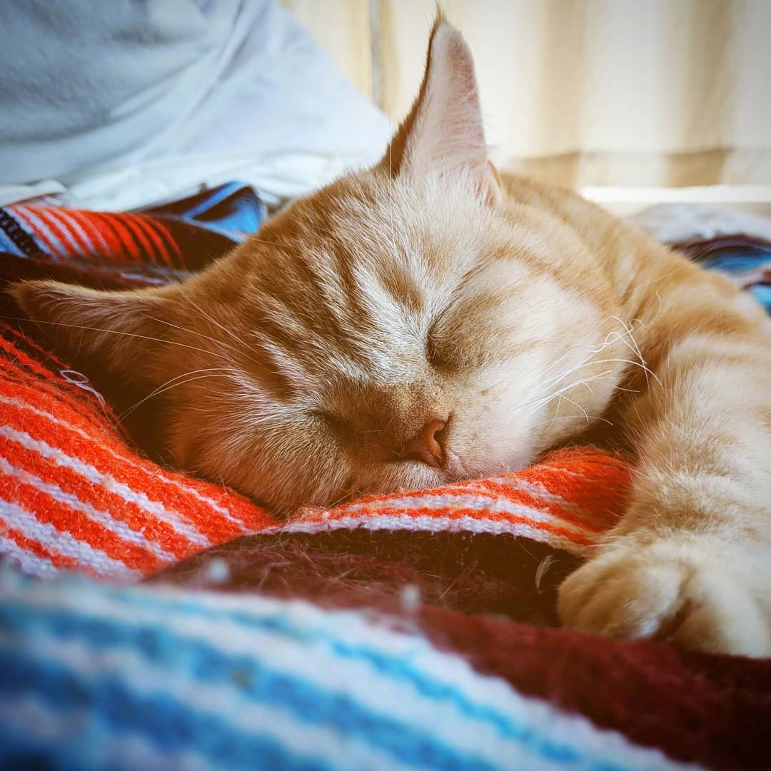 放假的状态就是睡睡睡_新浪看点