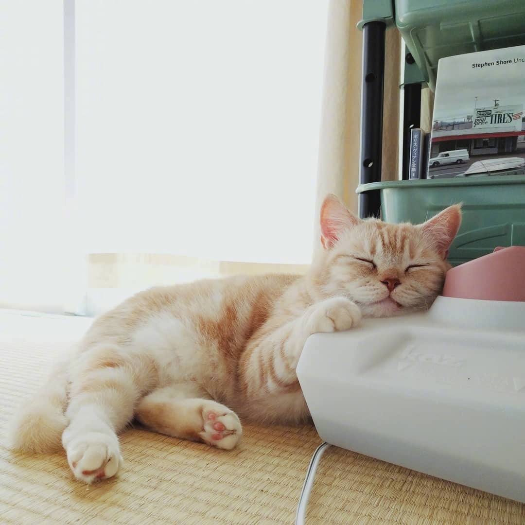 放假的状态就是睡睡睡_新浪看点