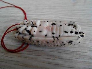 "天珠"千眼菩提的和价值,众星捧月,把件形态各异,魅力爆棚!