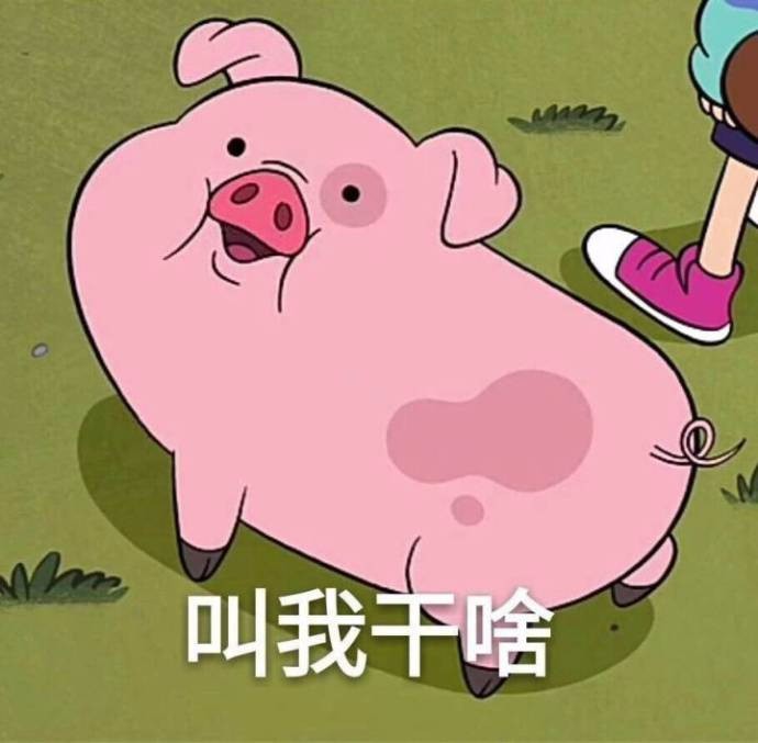 我不知道该怎么和你解释我只是一只猪