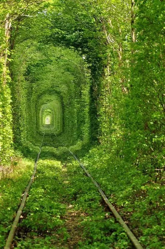 这些绿色主题的仙境,足够你用来养眼