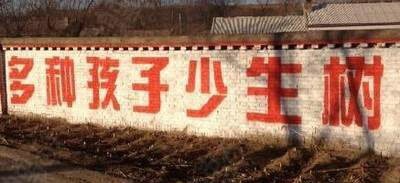 不应该是多种树,少生孩子吗?