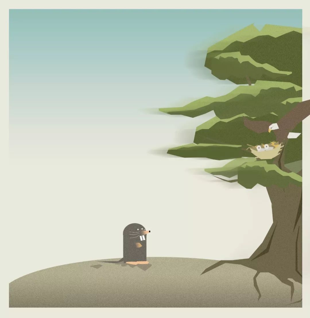 亚特兰大老鹰|斯坦纳|老鹰_新浪新闻