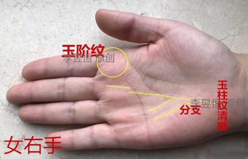 手相凤尾纹富贵花开玉柱y纹事业有成玉阶纹珠宝满仓