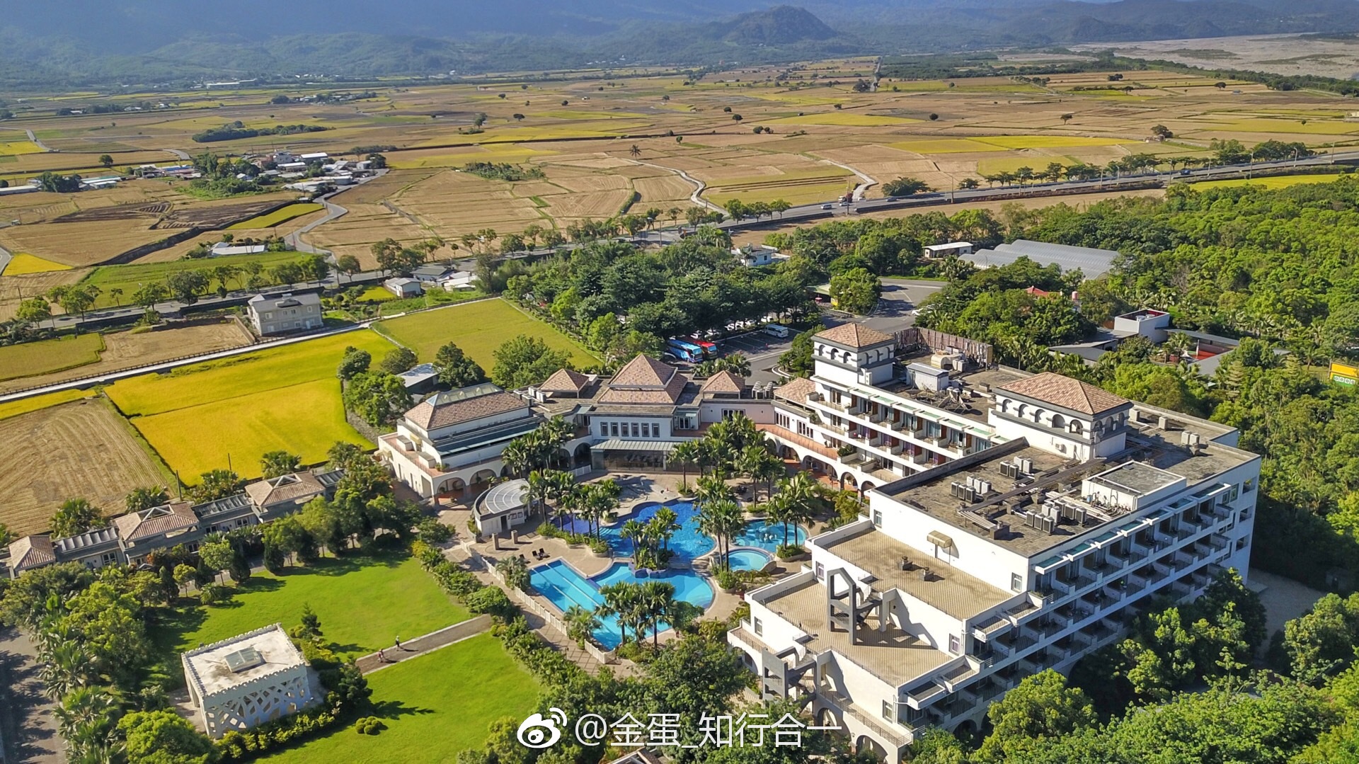 台东的池上地区,这里的稻米非常有名|池上|伯郎|台东|稻米|日晖_新浪新闻