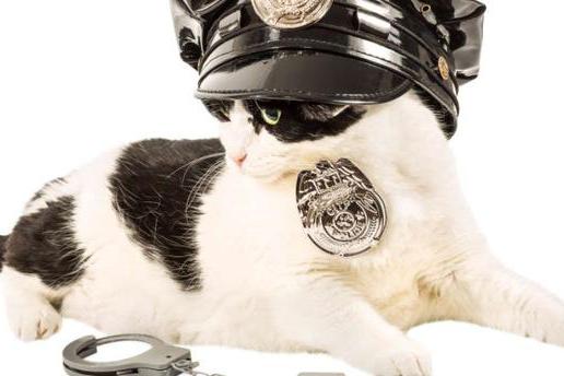 开保险柜方法 警猫保险柜