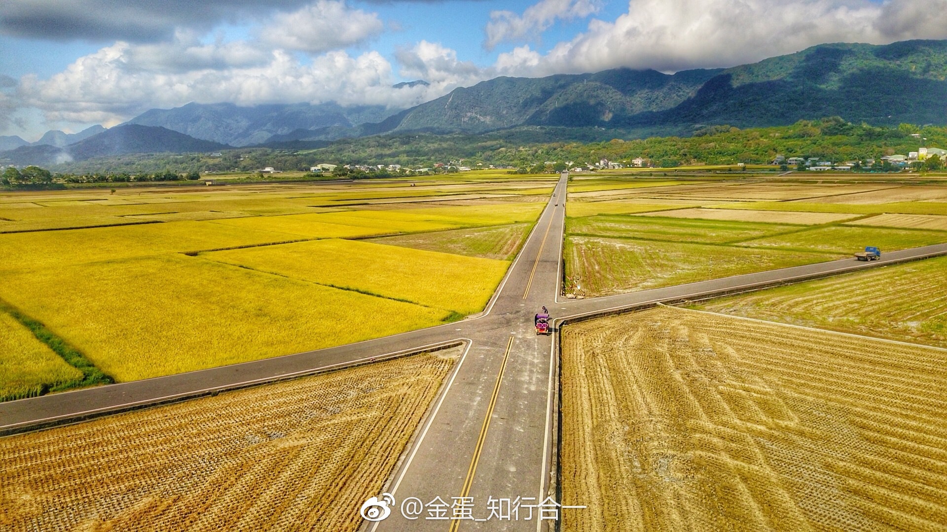 台东的池上地区,这里的稻米非常有名|池上|伯郎|台东|稻米|日晖_新浪新闻