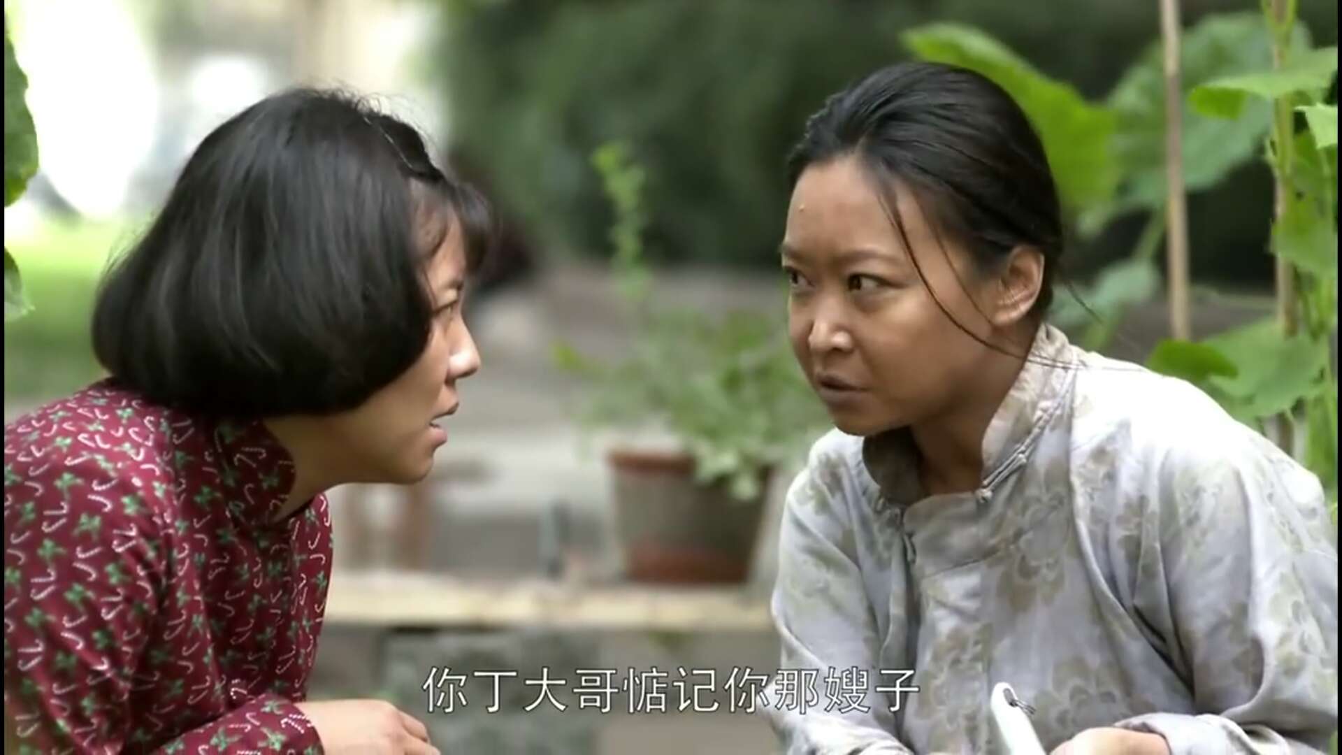 《父母爱情》中藏着4位导演不说,还外加3位老师!能不经典么?