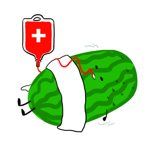 搞笑段子:水果小贩把一个西瓜卖给一位女士