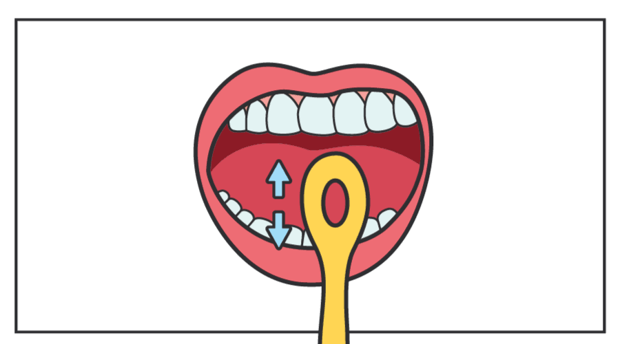 世界爱牙日丨芳疗师用芳香疗法关爱口腔