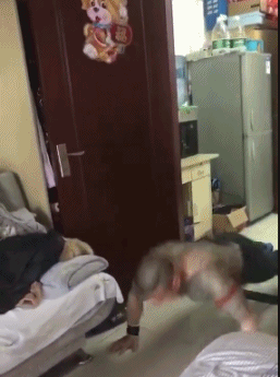 当街砍人反被杀社会龙哥到底什么来头