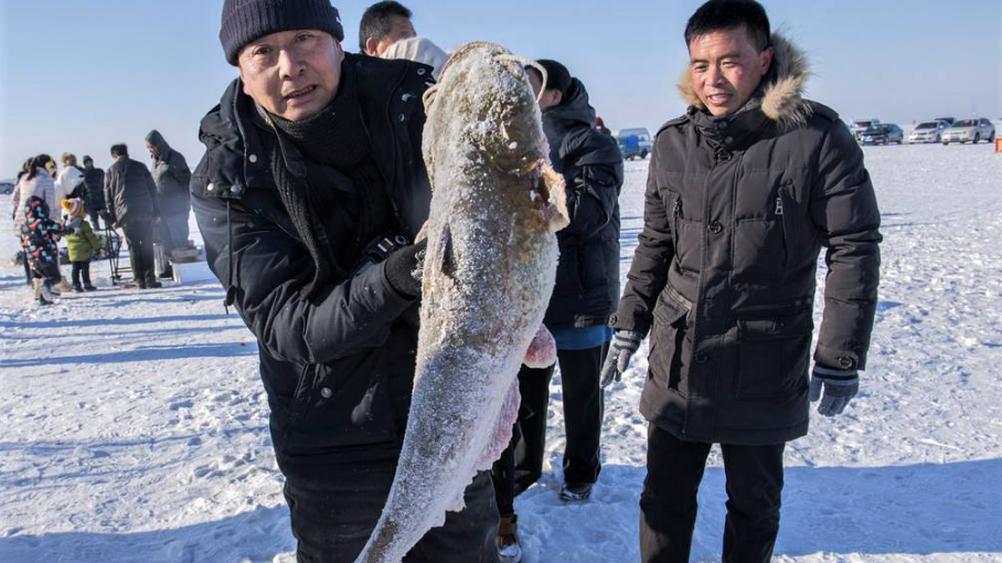 查干湖里捞出的最大鱼王,到底有多少斤?