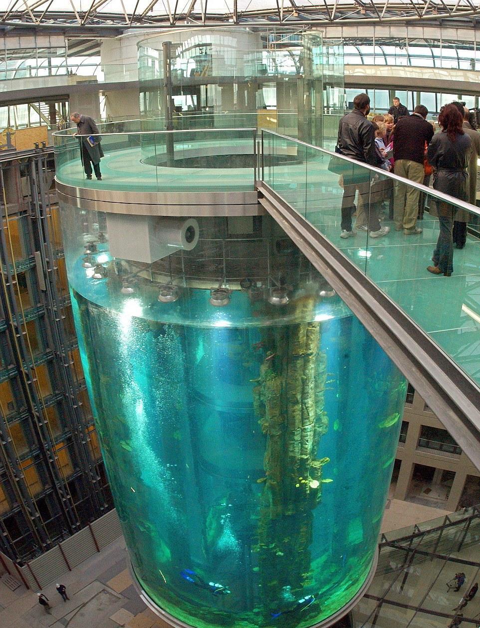 世界上最大的水族箱: 有8层楼那么高, 内含100万升水! 太可怕了