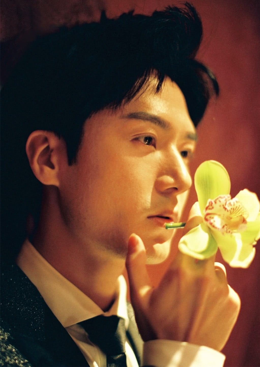 而立之年,罗云熙茅子俊朱一龙仍是少年网友:苏