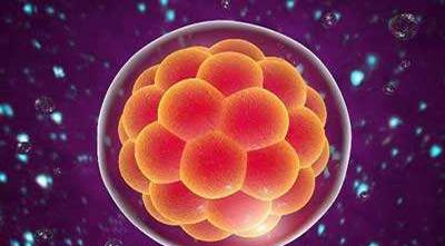 胚胎移植后老起鸡皮疙瘩(移植后为什么总起鸡皮疙瘩) 胚胎移植后老起鸡皮疙瘩(移植后为什么总起鸡皮疙瘩)