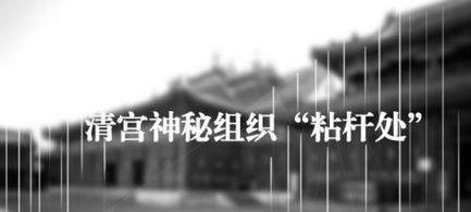 粘杆处,这个神秘的组织,竟然是雍正,乾隆,嘉庆皇帝的得力助手