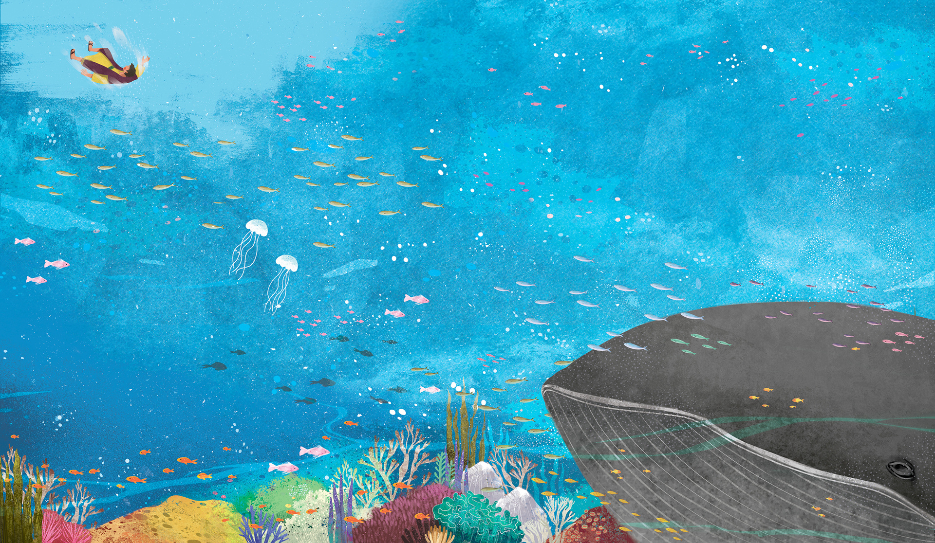 男孩与海洋的奇妙之旅.-儿童插画 ‖. xuan le|插画|男孩|海洋_新浪新