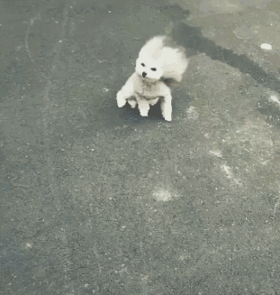 311_327gif 动态图 动图