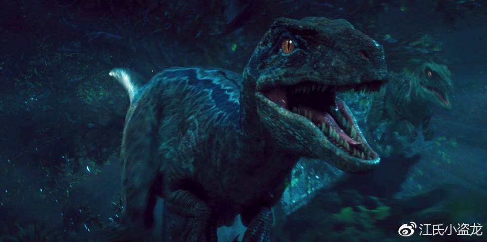 侏罗纪世界2里的迅猛龙群居吗来自山东的恐龙足迹告诉你真相