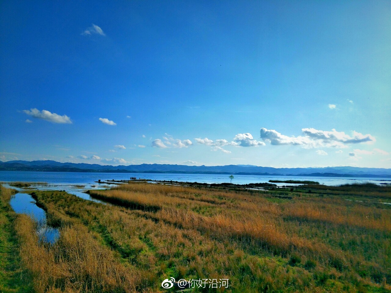 2021草海游玩攻略,是中国著名三大高原湖泊（草...【去哪儿攻略】